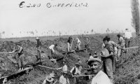(1060) - Le nostre cooperative - Coop. agricola di lavoro braccianti di Campegine