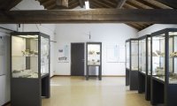 (3011) - Il La cultura del territorio - Museo della terramara Santa Rosa di Poviglio