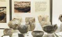 (3011) - Il La cultura del territorio - Museo della terramara Santa Rosa di Poviglio